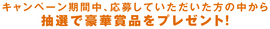 抽選で豪華景品が当たる！
